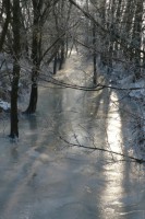 /album/fotogalerie/p1450567-jpg/