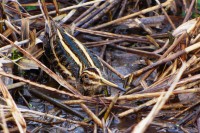/album/fotogalerie-fotogalerie/p1570057-up2r2-jpg/