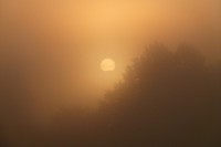 /album/vychody-a-zapady-slunce-obloha/p1050642-upr-jpg/