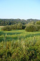 /album/fotogalerie/p1600447-jpg/