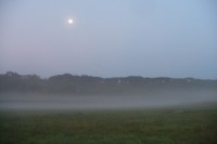 /album/fotogalerie/p1600523-jpg/