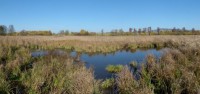 /album/fotogalerie/p1100350-panorama-upr-jpg/