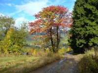 /album/krkonose-jizerske-hory/p1660796-podzim-upr-jpg/