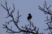 /album/fotogalerie-fotogalerie/p1060134-upr-jpg/