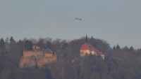 /album/fotogalerie-fotogalerie/p1060444-upr-jpg/