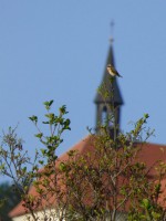 /album/fotogalerie-fotogalerie/p1060829-upr-jpg/