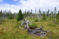 /album/krkonose-jizerske-hory/p1010027-jpg/