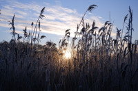 /album/vychody-a-zapady-slunce-obloha/dscf3440-jpg/