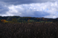 /album/fotogalerie/dscf3281-jpg/