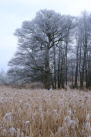 /album/marko-detaily/dscf3751-jpg/