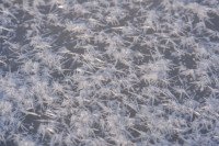 /album/marko-detaily/dscf5012-jpg/