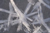 /album/marko-detaily/dscf5018-jpg/