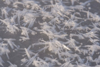 /album/marko-detaily/dscf5028-jpg/