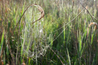 /album/marko-detaily/dscf5992-jpg/