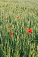 /album/marko-detaily/dscf7207-jpg/