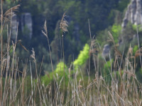 /album/marko-detaily/dscn1413-jpg/