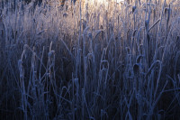 /album/marko-detaily/dscf3445-jpg/