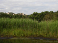 /album/fotogalerie/dscn1705-jpg/