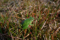 /album/fotogalerie-fotogalerie/dscf5169-jpg/