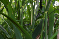 /album/fotogalerie-fotogalerie/dscf7239-jpg/