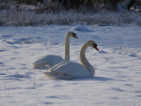 /album/fotogalerie-fotogalerie/dscn1159-jpg/