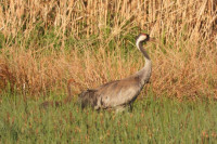 /album/fotogalerie-fotogalerie/dscn1524-upr-jpg/