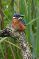 /album/fotogalerie-fotogalerie/dscn1576-upr-jpg/