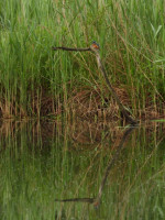 /album/fotogalerie-fotogalerie/dscn1588-jpg/