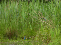 /album/fotogalerie-fotogalerie/dscn1598-jpg/