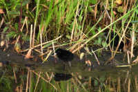 /album/fotogalerie-fotogalerie/dscn1712-upr-jpg/