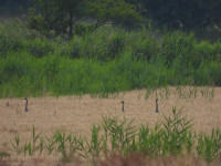 /album/fotogalerie-fotogalerie/dscn1748-jpg/