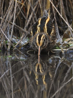 /album/fotogalerie-fotogalerie/dscn1876-upr-jpg/