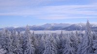 /album/krkonose-jizerske-hory/dscf3793-jpg/