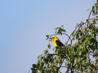 /album/fotogalerie-fotogalerie/dscn1680-jpg/