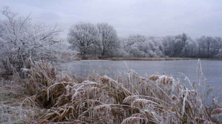 Zimní rybník Cihlák