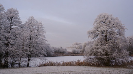Zimní rybník Nohavice