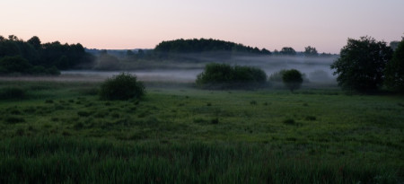 Sedmihorské slatinné louky v mlze