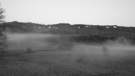 Když mlha tančí 3 bw