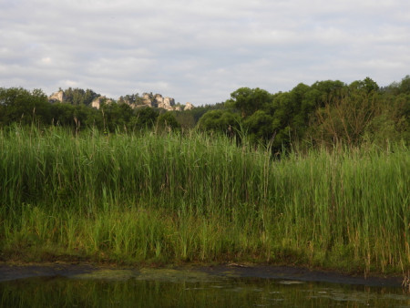 Mokřady pod Skalákem
