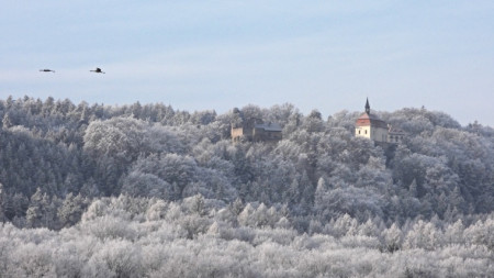 Valdštejn s letícími jeřáby